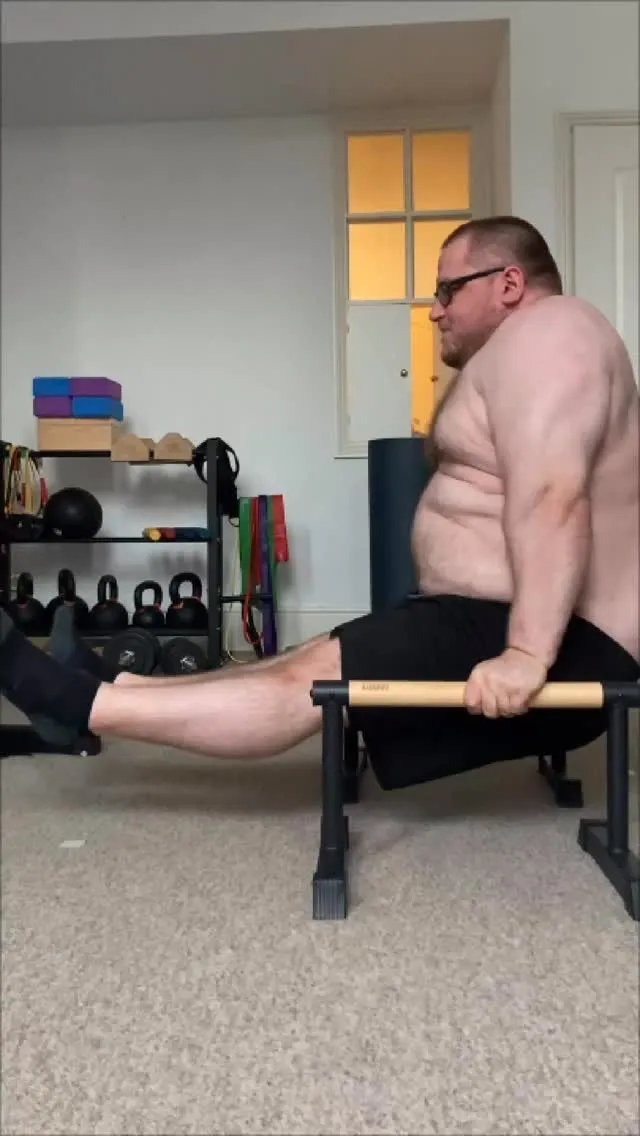 L-Sit Attempt